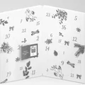 Nobilis Tilia Adventní kalendář - Krása a harmonie pro adventní čas